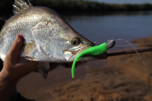 First hedland baz